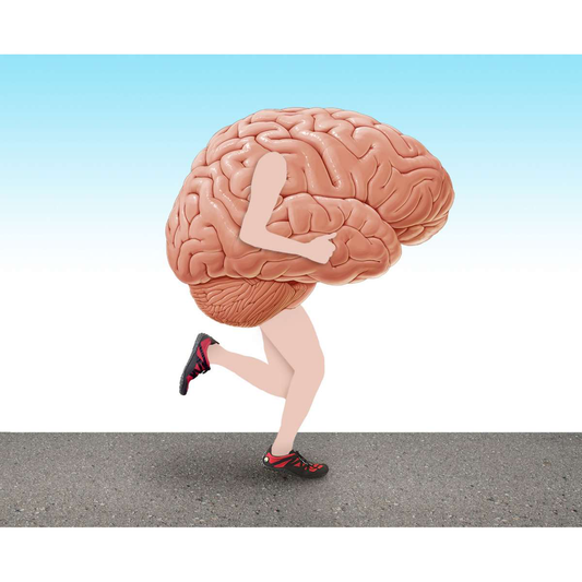 NIMBLE BODY, NIMBLE MIND