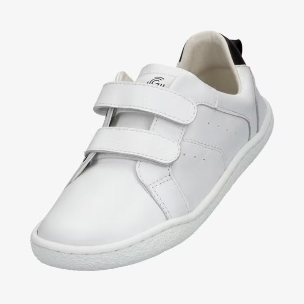 Universe White