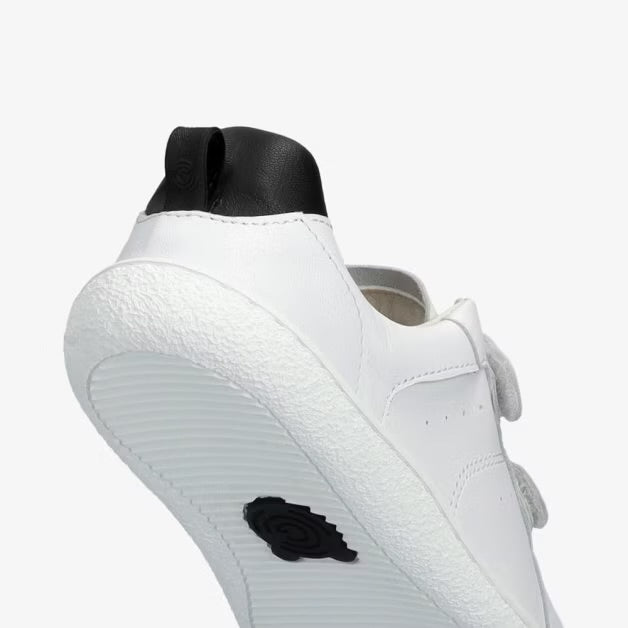 Universe White