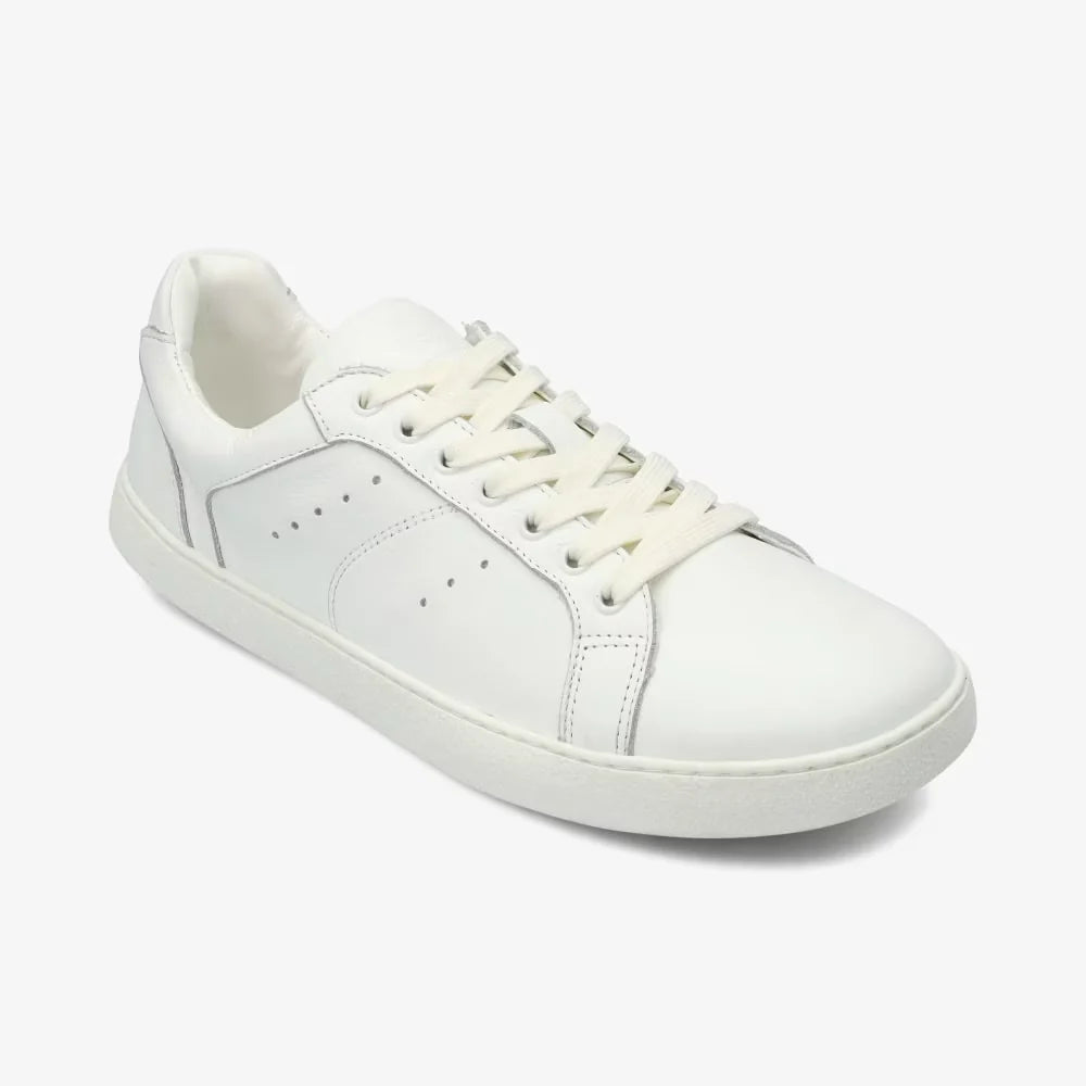 Universe White