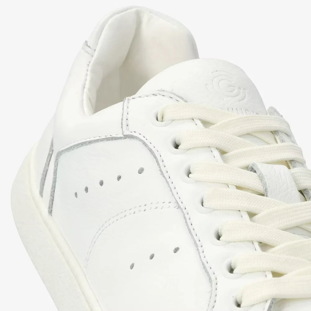 Universe White