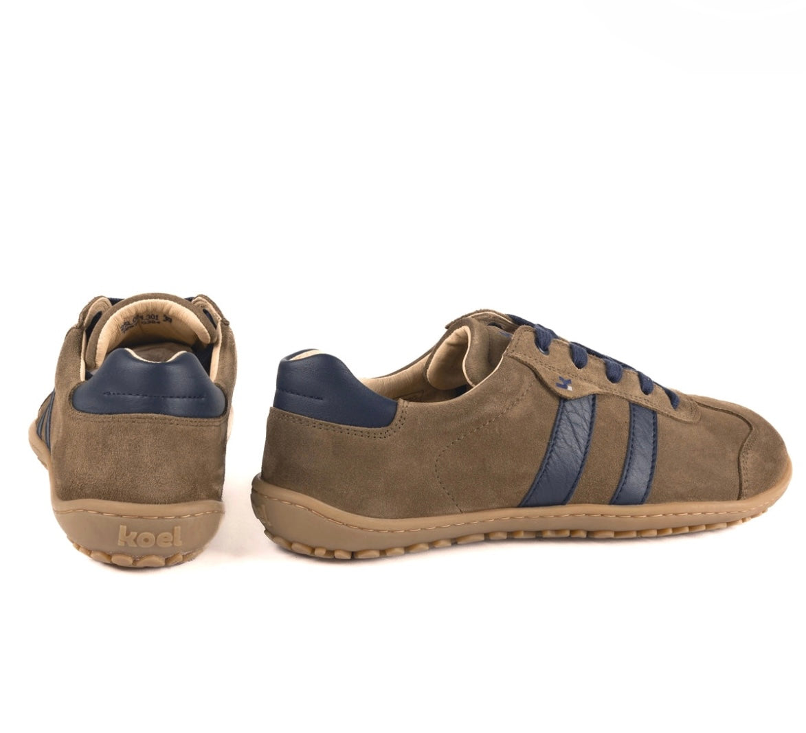 Ilo Olive