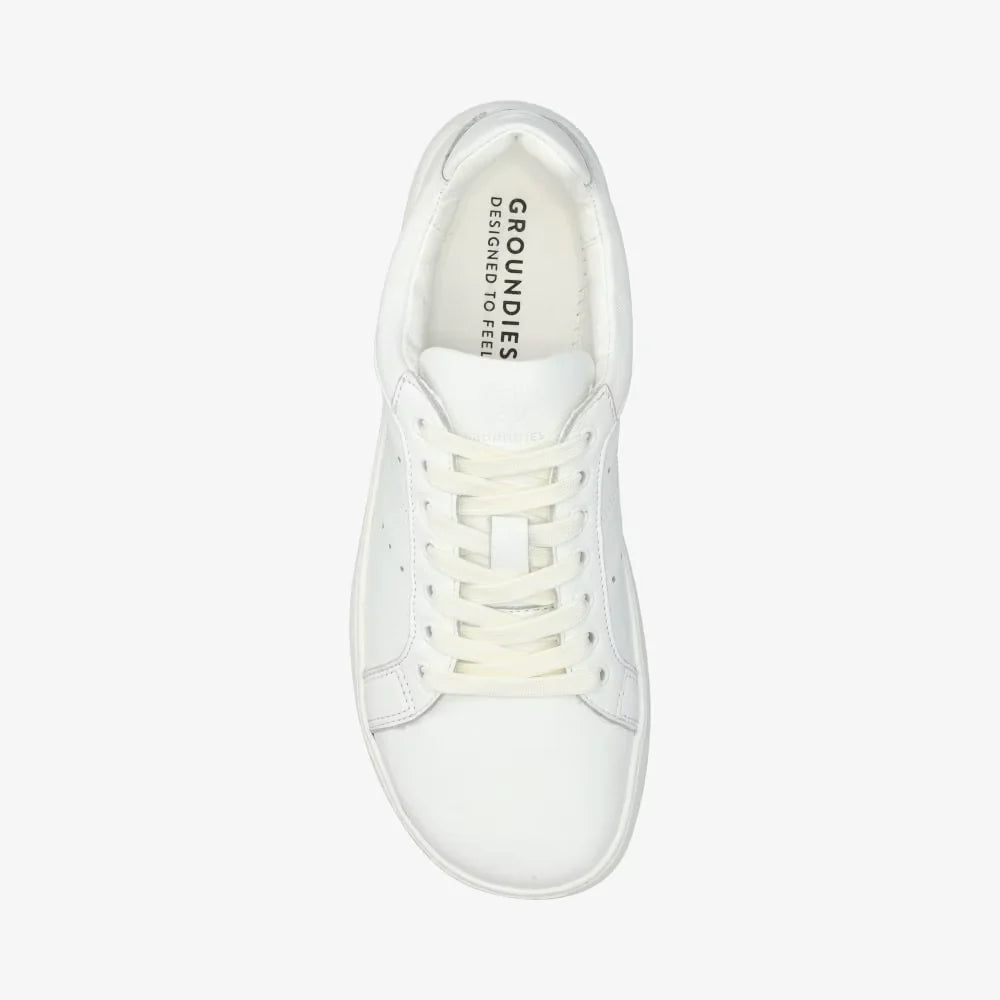 Universe White