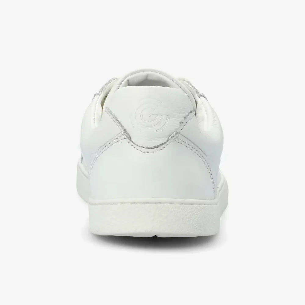 Universe White