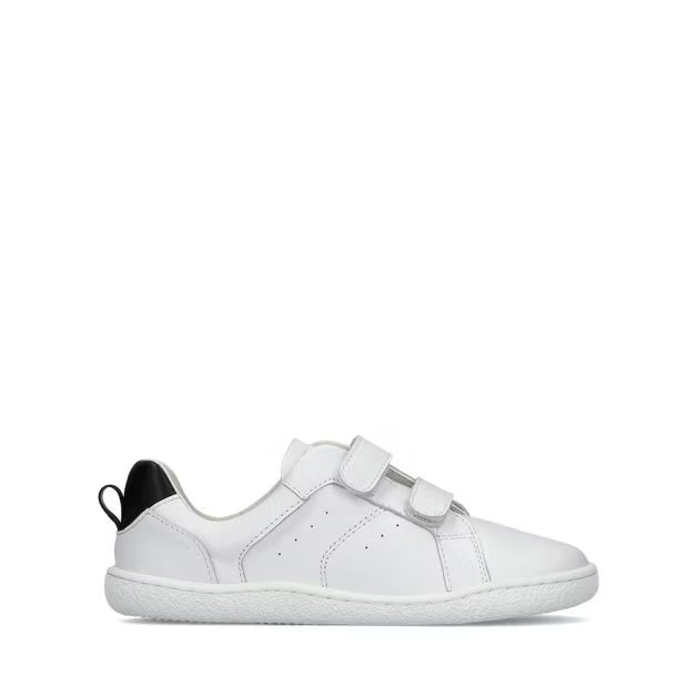 Universe White