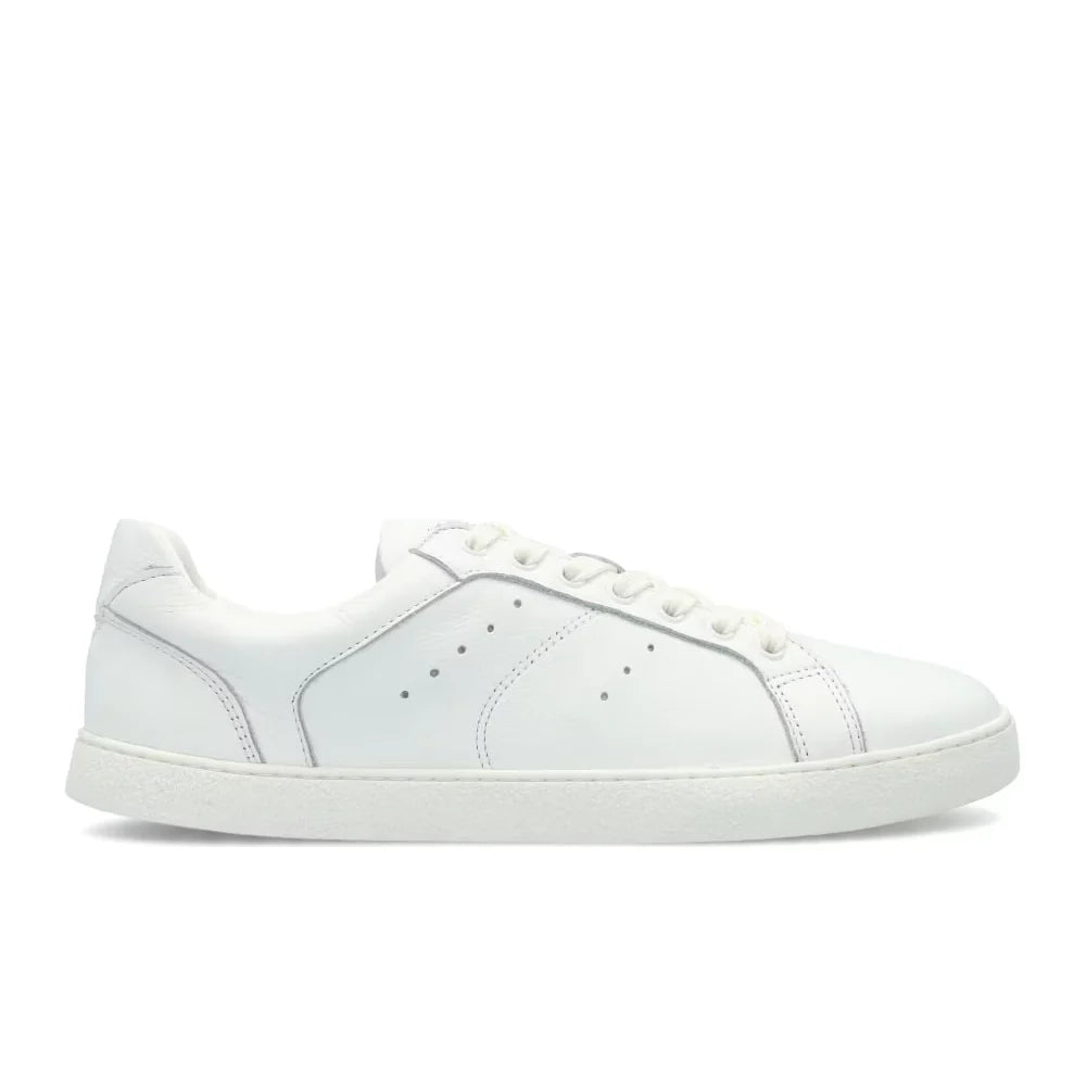 Universe White