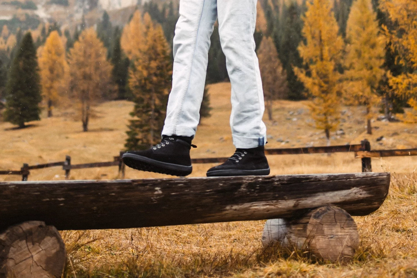 Nevada Black