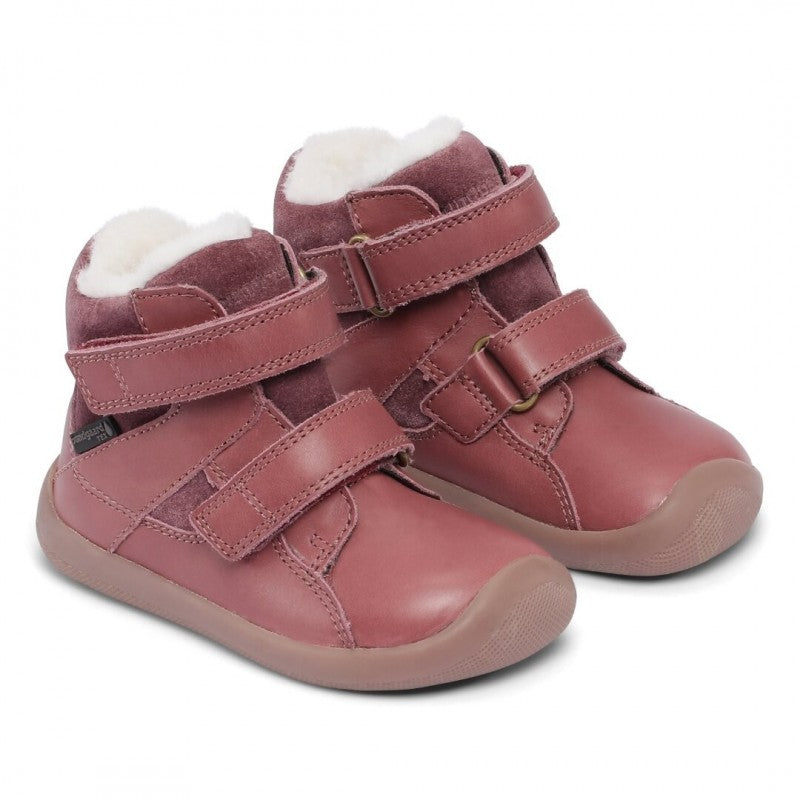 Walk Winter TEX Rose