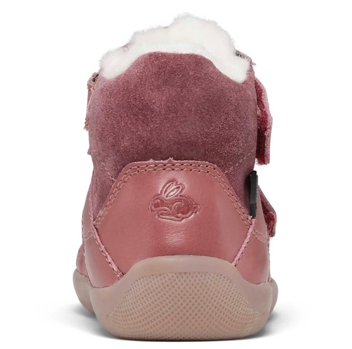 Walk Winter TEX Rose