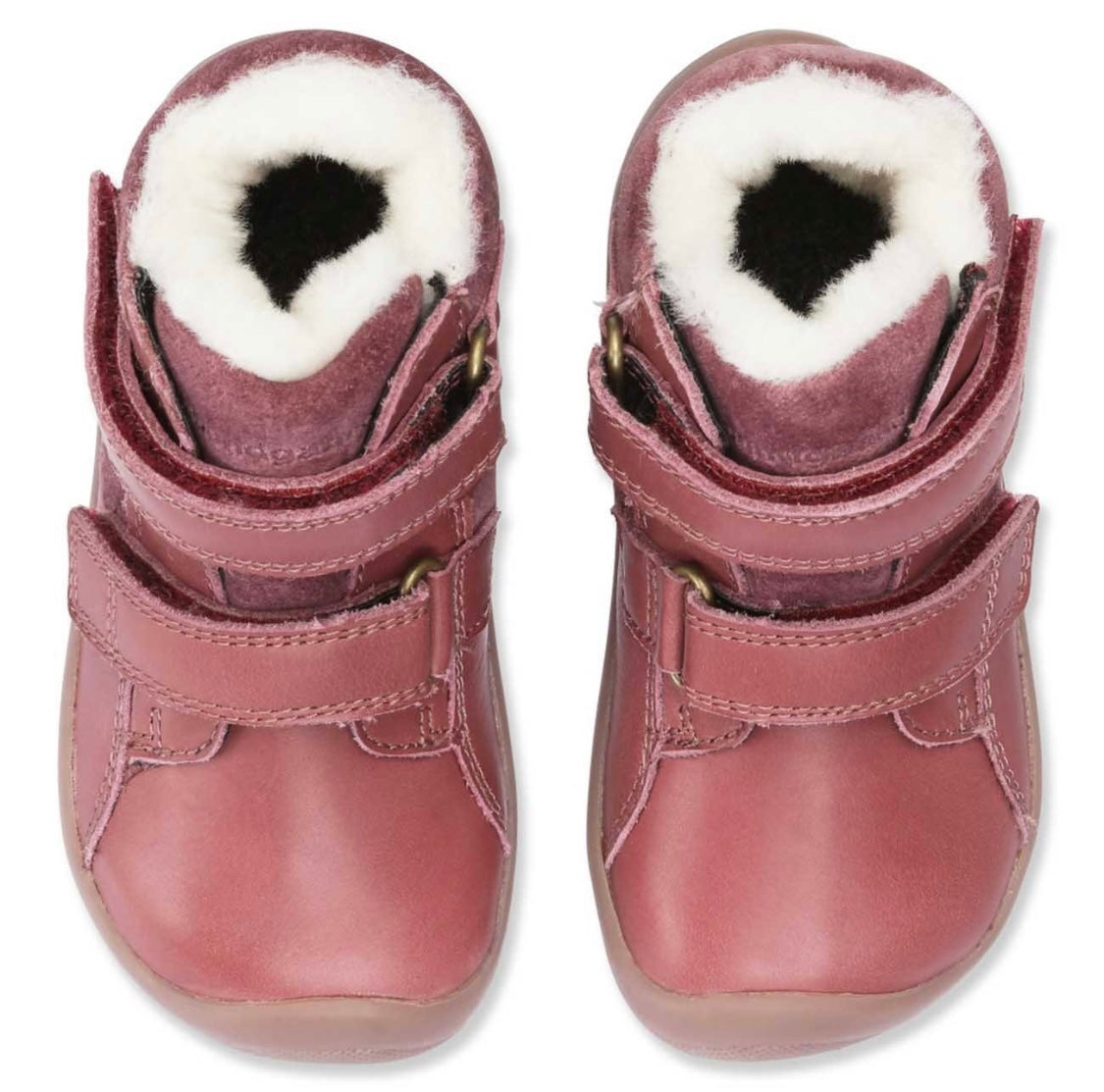 Walk Winter TEX Rose