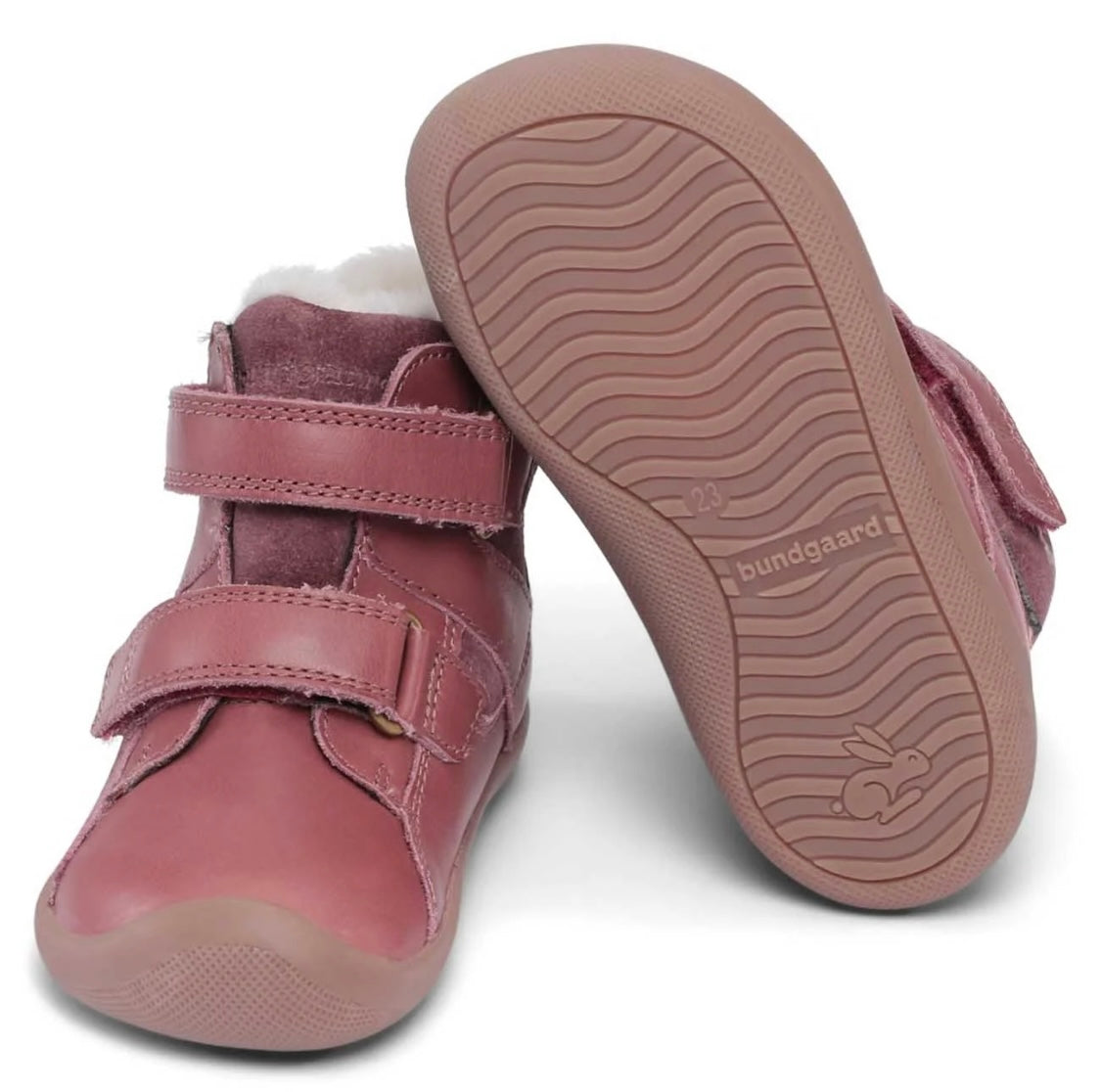 Walk Winter TEX Rose
