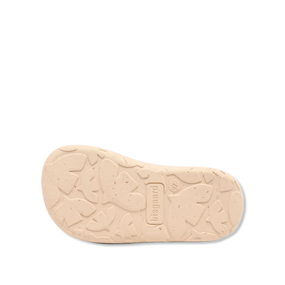 Jua