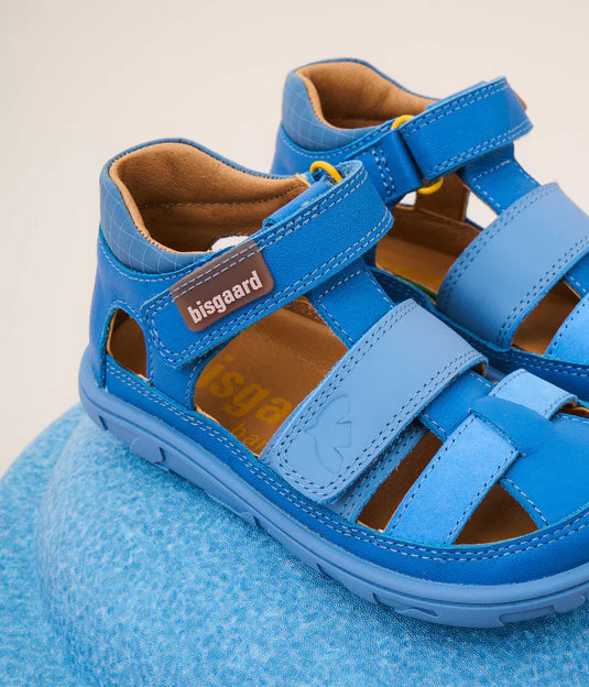 Vic Blue