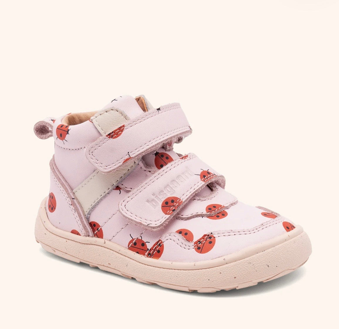 Becky Ladybug
