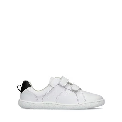 Universe White