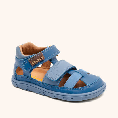 Vic Blue